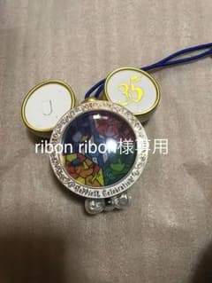 ディズニー 35周年 ハピエストメモリーエーカーのサムネイル