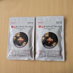 ターミナリアファースト プロフェッショナル5 120粒 2袋 - メルカリ