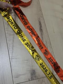 TOP4 東京ドーム 0705 銀テープ 2本セット　フルロゴのサムネイル