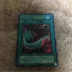 ハーピィの羽根箒のサムネイル