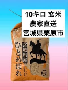 宮城県栗原市産 ひとめぼれ 玄米10kg 農薬・化学肥料を抑えて栽培