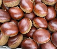 生栗　栗　くり　無農薬　１キロ　Ｍのサムネイル