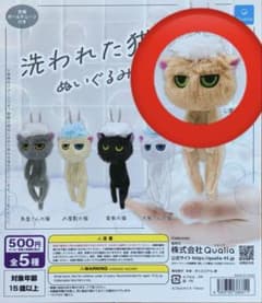 洗われた猫　ぬいぐるみ　ガチャのサムネイル