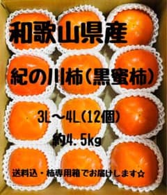 和歌山県産紀の川柿(黒蜜柿)約4.5kgのサムネイル