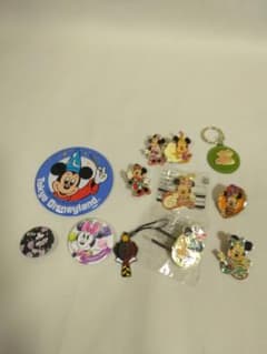 東京ディズニーリゾート缶バッジ ピンバッジ まとめセット12ー585