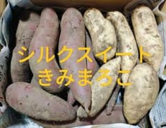 シルクスイート&きみまろこ（シルクスイート多め）　約5キロのサムネイル