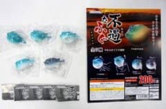 不遇なふぐマスコット 全5種フルセット Jドリーム ガチャ 不遇なふぐマスコット 全5種フルセット Jドリーム ガチャ - メルカリ