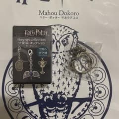 ハリーポッター　分霊箱コレクション　「マールヴォロ・ゴーンドの指輪」のサムネイル