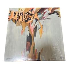 G*s様 Apani B-fly HYDE OUT Laws 12 NUJABEのサムネイル