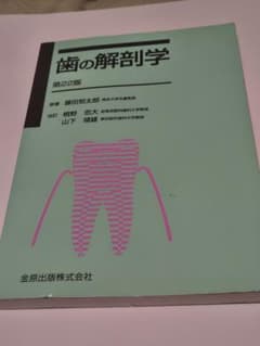 歯の解剖学 第22版 藤田恒太郎 歯科 医学書 解剖 歯学 教科書のサムネイル