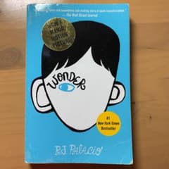 Wonder ワンダー　洋書のサムネイル