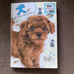 犬がおうちにやってきた!  動物の飼い方がわかるまんが図鑑のサムネイル