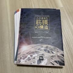 人の生きた筋膜の構造のサムネイル