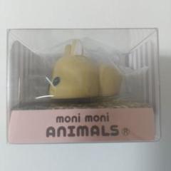 もにまるず ネザーランドドワーフ うさぎのモキュ様 monimoni m63574645532_1.jpg?1755666151