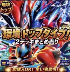 メガルカリオex Nのゾロアークex 構築済みデッキ まとめ売り ポケモン
