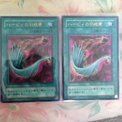 ハーピィの羽根箒のサムネイル