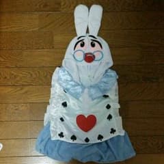 不思議の国のアリス 白うさぎ コスプレのサムネイル