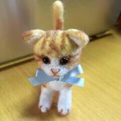 垂れ耳猫ちゃん  マンチカンのサムネイル