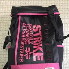 早い者勝ち  希少！！アルファインダストリーズ リュック ピンクのサムネイル