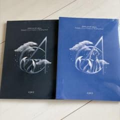 CORTIS コルティス LP vinyl 新品未開封 完売品 公式 トレカあり