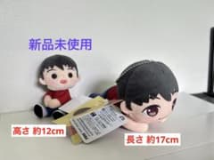 신품 ☆ TinyTAN 모아 플러스 잠 썰매 & 붙어 모어 플러스 봉제 인형 j-hope