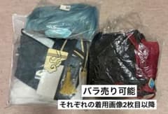 原神 行秋 衣装 gigoコラボ ウィッグのサムネイル