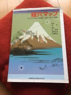 経穴マップ イラストで学ぶ十四経穴・奇穴・耳穴・頭鍼のサムネイル