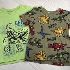 恐竜　Tシャツ　セット
