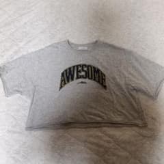 【値下げ交渉可能】クロップド丈 半袖Tシャツ グレー Fサイズのサムネイル