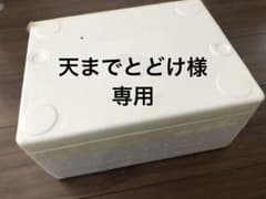 松茸5箱のサムネイル