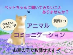 鑑定☆アニマルコミュニケーション・ペットの気持ち「通常版＊質問1個」のサムネイル