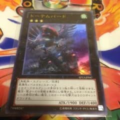 トーテムバードのサムネイル