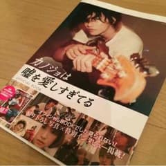 彼女は嘘を愛しすぎてる  official bookのサムネイル