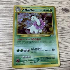 メガニウム_プレミアムファイル PROMO 第1世代 1996~1999 - メルカリ