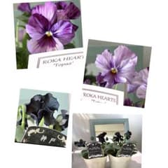 ✿Dom❤Mia✿プロフ必読✿様 リクエスト おまとめ4点 - メルカリ