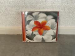 Aqua Timez プルメリア ～花唄～ CD 中古品のサムネイル