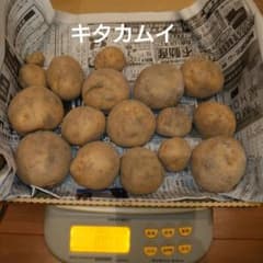 キタカムイ ① - 5