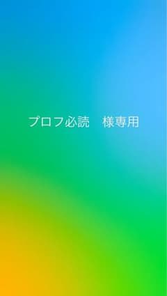 プロフ必読さま専用 プロフ必読様 専用 - メルカリ