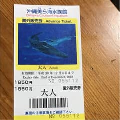 沖縄美ら海水族館 チケットのサムネイル