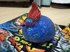 ジャングル&co. カンムリシャコ　ジャングルアンドコのサムネイル