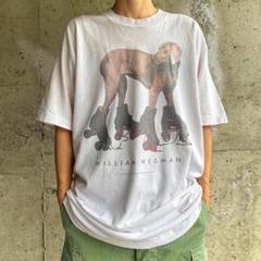 XZ497 90s アート ウィリアムウェグマン Tシャツ ヴィンテージ