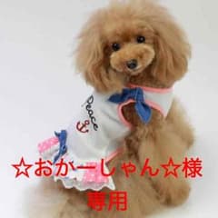 ☆おかーしゃん☆専用ですのサムネイル