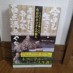 しんどい心が軽くなる今日のネコさんの教えのサムネイル