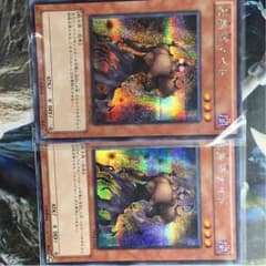 遊戯王早い者勝ち！のサムネイル