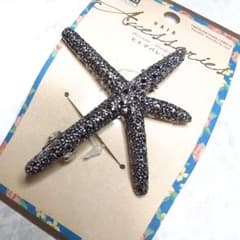 ヒトデ型シルバーのヘアクリップのサムネイル