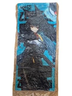 GIGO限定　ゼンレスゾーンゼロ vol.2　ロングビッグクッション　星見雅