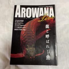 AROWANA LIVE アロアナライブ　vol 5&7のサムネイル