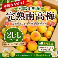 専用出品 ゴン太様 2L3kg 5kg 各1箱 専用出品 ゴン太様 2L3kg 5kg 各1箱 - メルカリ