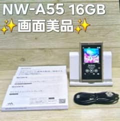 画面美品☆WALKMAN NW-A55 16GB ゴールド 本体 説明書 - メルカリ