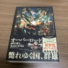 オーバーロード 14 滅国の魔女のサムネイル